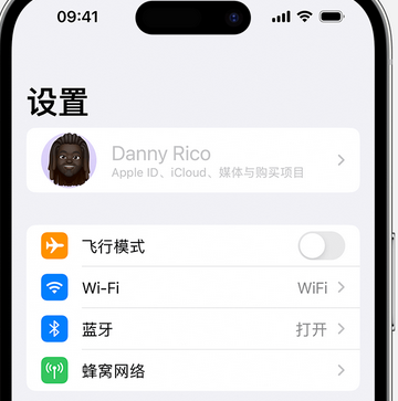 南充appleID维修服务iPhone设置中Apple ID显示为灰色无法使用