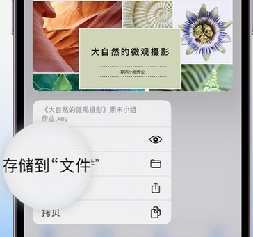 南充apple维修中心分享iPhone文件应用中存储和找到下载文件