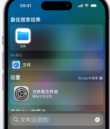 南充apple维修中心分享iPhone文件应用中存储和找到下载文件 