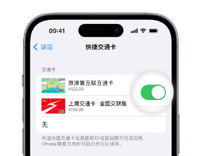 南充apple维修点分享iPhone上更换Apple Pay快捷交通卡手绘卡面 