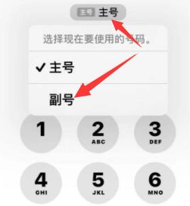 南充苹果14维修店分享iPhone 14 Pro Max使用副卡打电话的方法 