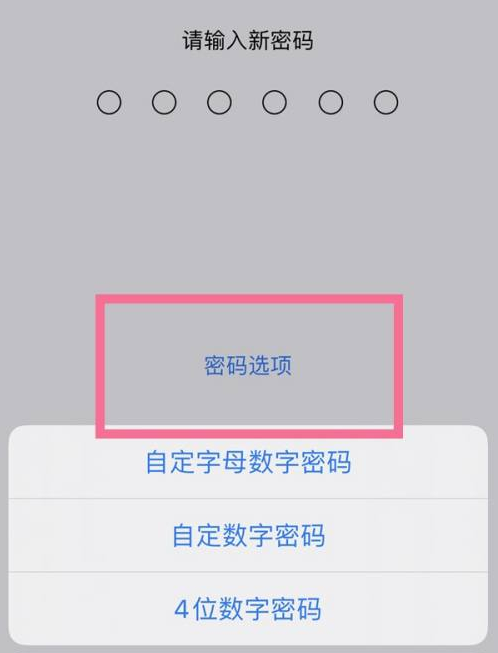 南充苹果14维修分享iPhone 14plus设置密码的方法 