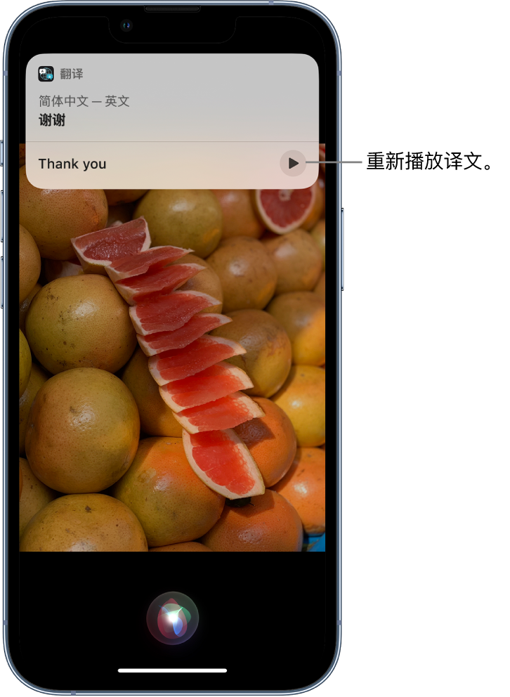 南充苹果14维修分享 iPhone 14 机型中使用 Siri：了解 Siri 能帮你做什么 