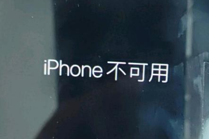 南充苹果服务网点分享锁屏界面显示“iPhone 不可用”如何解决 