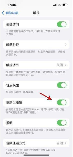 南充苹果手机维修分享iPhone手机如何设置摇一摇删除文字 