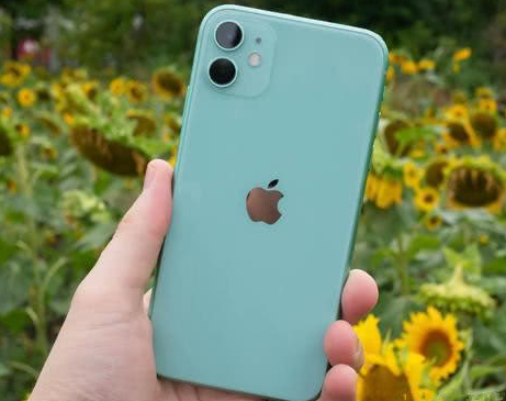 南充苹果维修点分享iPhone 11锁屏密码认知与使用科普 